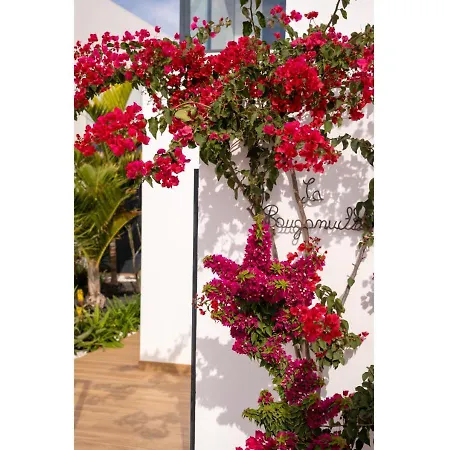 Casa Bouganvillea * Lajares