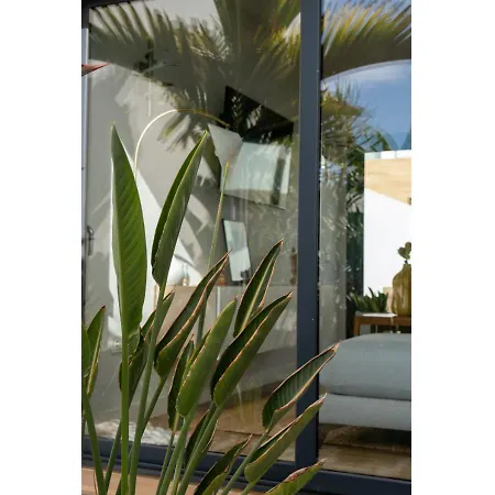 Casa Bouganvillea Holiday home *