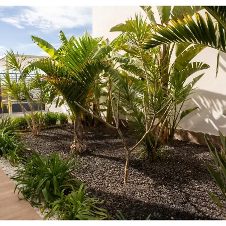 Casa Bouganvillea Holiday home