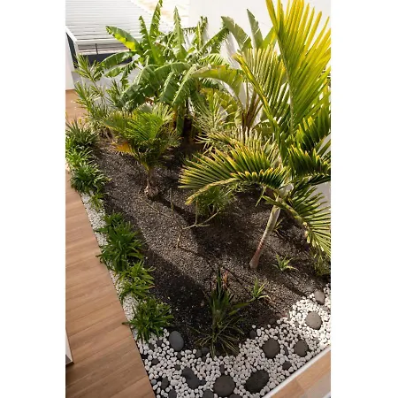 Сasa de vacaciones Casa Bouganvillea *