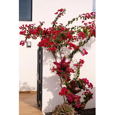 Σπίτι διακοπών Casa Bouganvillea Lajares